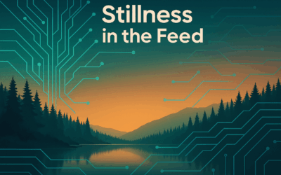 Why Stillness in the Feed